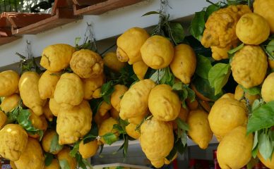 lemon,capri tour boat